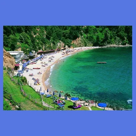 Casetta Romantica Viola Lerici